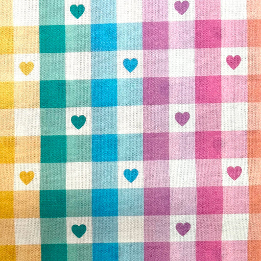 Little Johnny Rainbow Cotton Gingham